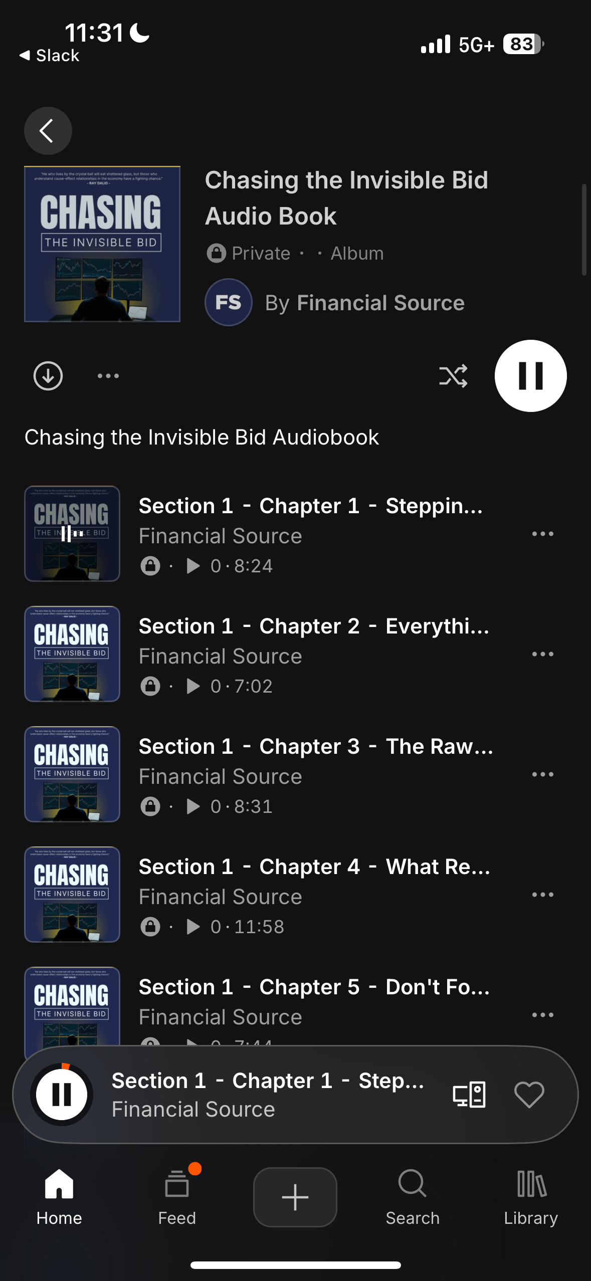 Chasing The Invisible Bid Audiobook